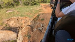 Yala Nationalpark Hambantota 25.05.11 Begeistert zum ersten Mal in Südostasien AIDAstella 054