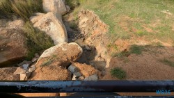 Yala Nationalpark Hambantota 25.05.11 Begeistert zum ersten Mal in Südostasien AIDAstella 055