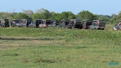 Yala Nationalpark Hambantota 25.05.11 Begeistert zum ersten Mal in Südostasien AIDAstella 068