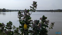 Yala Nationalpark Hambantota 25.05.11 Begeistert zum ersten Mal in Südostasien AIDAstella 073