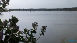 Yala Nationalpark Hambantota 25.05.11 Begeistert zum ersten Mal in Südostasien AIDAstella 074