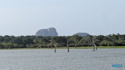 Yala Nationalpark Hambantota 25.05.11 Begeistert zum ersten Mal in Südostasien AIDAstella 075