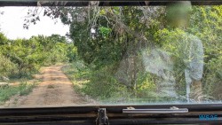 Yala Nationalpark Hambantota 25.05.11 Begeistert zum ersten Mal in Südostasien AIDAstella 081