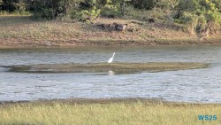 Yala Nationalpark Hambantota 25.05.11 Begeistert zum ersten Mal in Südostasien AIDAstella 100