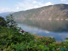 Åkrafjord Haugesund 19.07.30 - Fjorde Berge Wasserfälle - Fantastische Natur in Norwegen AIDAbella