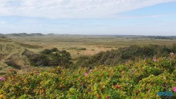 Hvide Sande 20.08.06 - Wegen Corona mit dem Wohnmobil durch Dänemark