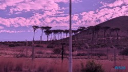 Kapstadt 26.02.04 Südafrika zwischen Faszination und Kriminalität AIDAstella 010