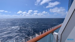 Karibik 25.12.09 Baden und Schnorcheln im kristallklaren Meer AIDAperla 005