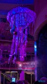 Heart of the Ocean Karibik 25.12.17 Baden und Schnorcheln im kristallklaren Meer AIDAperla 015