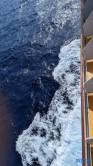Karibik 24.02.19 Traumhafte Strände und Wale in Mittelamerika und Karibik AIDAluna 008