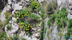 Kotor 22.04.14 - Tolle neue Ziele im Mittelmeer während Corona AIDAblu