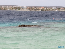 Kralendijk Bonaire 19.04.08 - Strände der Karibik über den Atlantik AIDAperla