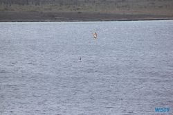 Kralendijk Bonaire 19.04.08 - Strände der Karibik über den Atlantik AIDAperla