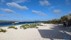 Klein Bonaire Kralendijk 24.11.25 Zu Fuß mit Taxi Fähre Boot Bus zu karibischen Stränden AIDAperla 016