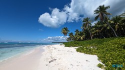 Isla Saona La Romana 24.02.24 Traumhafte Strände und Wale in Mittelamerika und Karibik AIDAluna 044