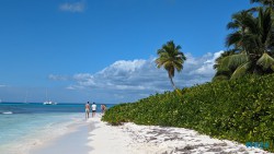Isla Saona La Romana 24.02.24 Traumhafte Strände und Wale in Mittelamerika und Karibik AIDAluna 045