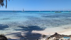 Isla Saona La Romana 24.02.24 Traumhafte Strände und Wale in Mittelamerika und Karibik AIDAluna 069