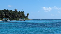 Isla Saona La Romana 24.02.24 Traumhafte Strände und Wale in Mittelamerika und Karibik AIDAluna 074