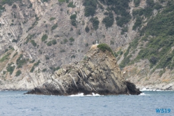 Cinque Terre La Spezia 19.07.08 - Das größte AIDA-Schiff im Mittelmeer entdecken AIDAnova