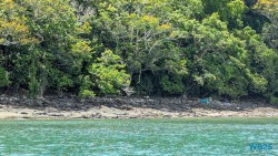 Langkawi 25.05.08 Begeistert zum ersten Mal in Südostasien AIDAstella 042