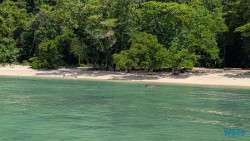 Pulau Beras Basah Langkawi 25.05.08 Begeistert zum ersten Mal in Südostasien AIDAstella 036