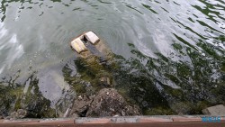 Pulau Dayang Bunting Langkawi 25.05.08 Begeistert zum ersten Mal in Südostasien AIDAstella 016