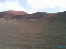 Nationalpark Timanfaya Arrecife Lanzarote 14.10.31 - Mallorca nach Gran Canaria AIDAblu Kanaren