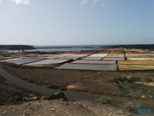 Salinas de Janubio Arrecife Lanzarote 14.10.31 - Mallorca nach Gran Canaria AIDAblu Kanaren