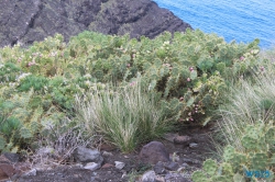 Las Palmas Gran Canaria 15.10.25 - Zwei Runden um die Kanarischen Inseln AIDAsol Kanaren