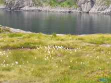 Å Leknes 19.08.04 - Fjorde Berge Wasserfälle - Fantastische Natur in Norwegen AIDAbella