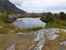 Å Leknes 19.08.04 - Fjorde Berge Wasserfälle - Fantastische Natur in Norwegen AIDAbella