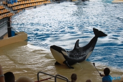 Loro Parque Teneriffa 14.11.07 - Mallorca nach Gran Canaria AIDAblu Kanaren