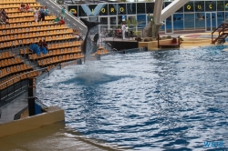 Loro Parque Teneriffa 14.11.07 - Mallorca nach Gran Canaria AIDAblu Kanaren