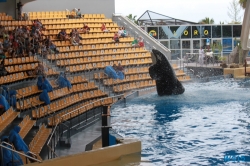 Loro Parque Teneriffa 14.11.07 - Mallorca nach Gran Canaria AIDAblu Kanaren