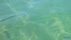 Anse Royale Beach Mahé 25.05.18 Begeistert zum ersten Mal in Südostasien AIDAstella 019