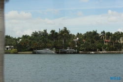 Miami 18.10.07 - Big Apple, weißer Strand am türkisen Meer, riesiger Sumpf AIDAluna