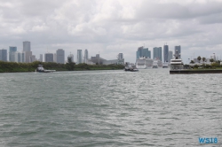 Miami 18.10.07 - Big Apple, weißer Strand am türkisen Meer, riesiger Sumpf AIDAluna