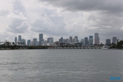 Miami 18.10.07 - Big Apple, weißer Strand am türkisen Meer, riesiger Sumpf AIDAluna