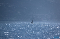 Mittelmeer 19.07.10 - Das größte AIDA-Schiff im Mittelmeer entdecken AIDAnova