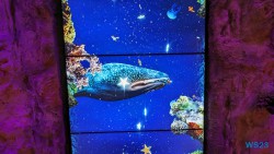 Treppenhaus Mittelmeer 23.07.18 Neue Abenteuer auf eigene Faust im Mittelmeer AIDAstella 012