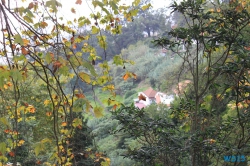 Monte Funchal Madeira 15.10.27 - Zwei Runden um die Kanarischen Inseln AIDAsol Kanaren