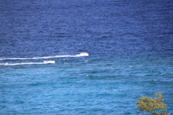 Nassau 18.10.06 - Big Apple, weißer Strand am türkisen Meer, riesiger Sumpf AIDAluna