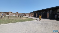 Pompeji Neapel 23.07.13 Neue Abenteuer auf eigene Faust im Mittelmeer AIDAstella 017