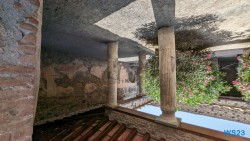 Pompeji Neapel 23.07.13 Neue Abenteuer auf eigene Faust im Mittelmeer AIDAstella 031