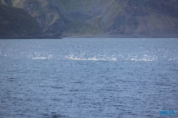 Nordkap Honningsvag 12.08.23 - Norwegen Island Schottland AIDAmar Nordeuropa