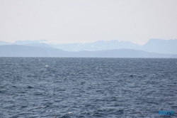 Nordmeer 19.08.03 - Fjorde Berge Wasserfälle - Fantastische Natur in Norwegen AIDAbella