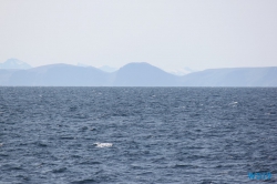 Nordmeer 19.08.03 - Fjorde Berge Wasserfälle - Fantastische Natur in Norwegen AIDAbella