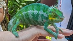 Ampangorinana Nosy Komba Andoany Nosy Be 23.11.24 Katamarane und Traumstrände auf Mauritius Seychellen Madagaskar AIDAblu 017