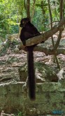 Ampangorinana Nosy Komba Andoany Nosy Be 23.11.24 Katamarane und Traumstrände auf Mauritius Seychellen Madagaskar AIDAblu 021
