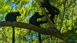 Ampangorinana Nosy Komba Andoany Nosy Be 23.11.24 Katamarane und Traumstrände auf Mauritius Seychellen Madagaskar AIDAblu 022